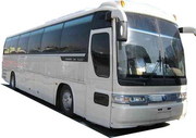 Автобусы    Киа ,   Дэу ,   Хундай,  Hyunda,  Kia,  Daewoo